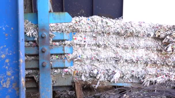 Измельченные Коробки Молока Конвейерной Ленте Заводе Переработке Попадают Тюки — стоковое видео