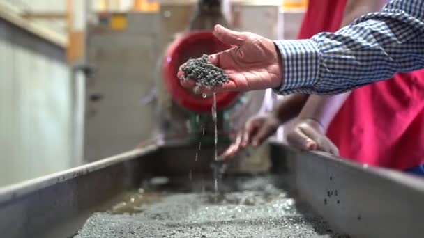 リサイクル工場で白いオスの手を拾いグレーの再生プラスチックペレットを落下させ — ストック動画
