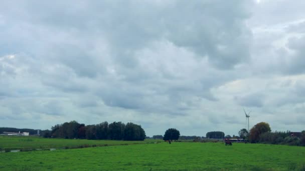 Zeitraffer Aufnahme Einer Ländlichen Holländischen Landschaft Mit Pferden Auf Wiese — Stockvideo