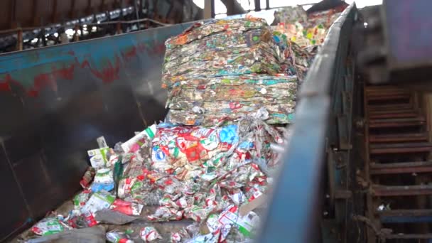 Cinematic Shot Bales Flattened Milk Juice Cartons Conveyor Recycling Plant — Stock Video