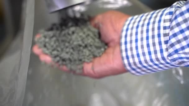 Filmaufnahme Von Grauen Recycelten Kunststoffpellets Die Aus Einer Hand Einer — Stockvideo