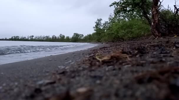 Beach Rain Lake Tornetrsk — Stockvideo