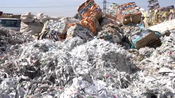 Zdjęcie Rozdrobnionego Papieru Zakładzie Recyklingu — Wideo stockowe