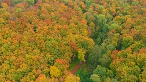Aerial Drone Felvétel Élénk Őszi Színek — Stock videók