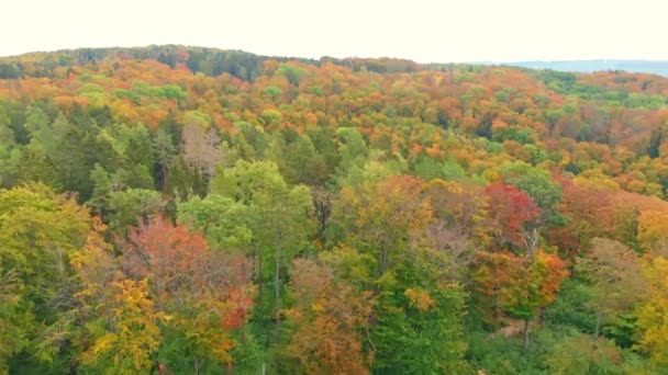 Vue Aérienne Drone Couleurs Automne Vibrantes — Video