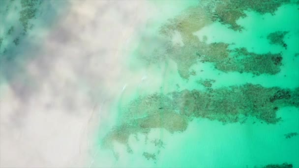 Orbit Shot Tropical Seascape — Stok Video