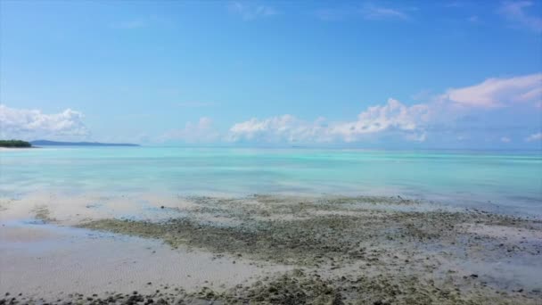 Fly Beach Turquoise Sea Madagascar — Stock videók