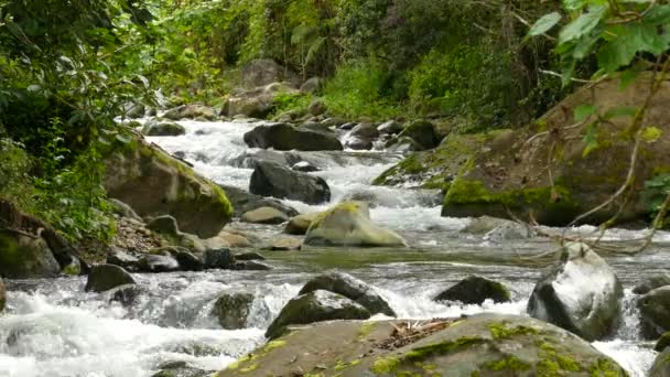 Beautiful Waterfall Running Jungle Woods Costa Rica — Video Stock