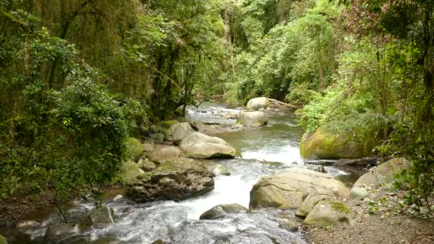 Hermosa Cascada Agua Caen Través Selva Costa Rica — Vídeos de Stock