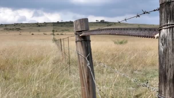 Aufnahme Eines Stacheldrahtzauns Einer Südafrikanischen Winterlandschaft — Stockvideo
