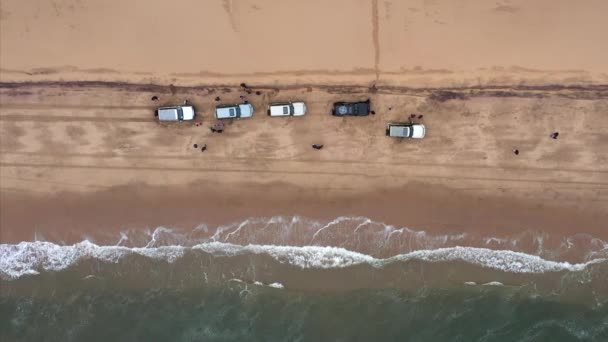 Overhead Aerial Shot Cars Beach Edge Namib Desert Sea Coming — Vídeo de Stock