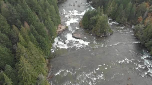 秋の雨の後 高い水でニンフの滝 空中撮影 滑らかで風光明媚な — ストック動画