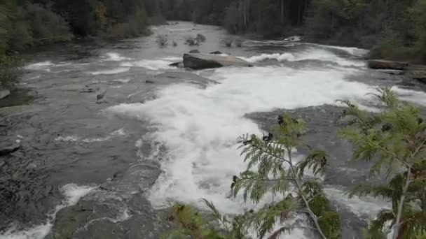 Nymph Falls Bij Hoog Water Herfstregen Slow Motion Poëtisch Krachtig — Stockvideo