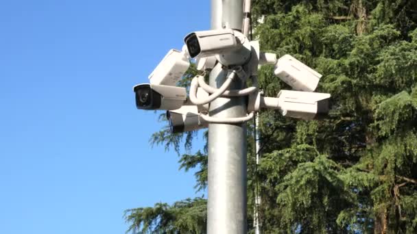 Amplia Toma Cámaras Seguridad Poste Con Medio Árbol Medio Cielo — Vídeo de stock