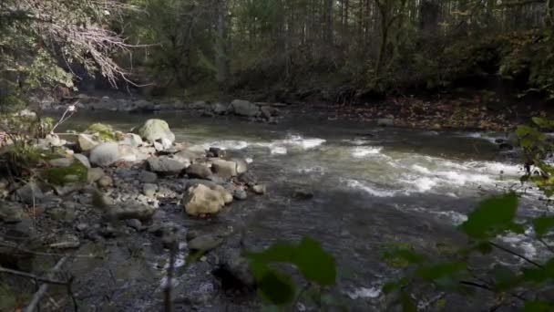 Georgous Långsam Natur Skott Vitvatten Flod Hösten — Stockvideo