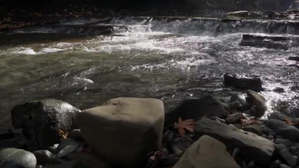 Utsikt Från Flodstranden Vattenfall Hösten Solljus Och Skönhet — Stockvideo