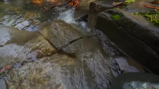 Agua Que Fluye Sobre Rocas Orillas Del Río Durante Caminata — Vídeo de stock