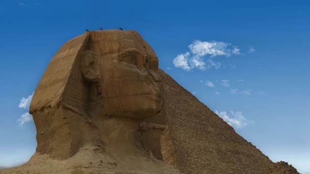 Včas Slavné Sfingy Velkými Pyramidami Údolí Gízy Káhira Egypt — Stock video