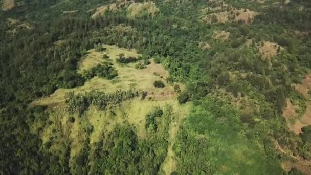 Reforestation Efforts Vast Mountainous Area — Stock Video