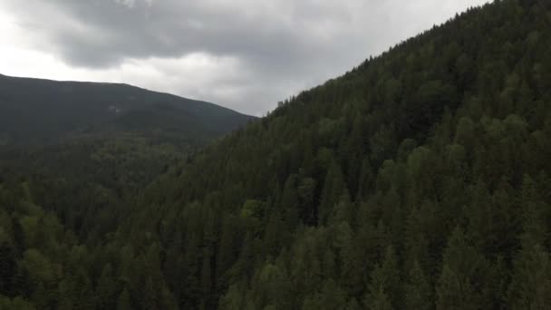 Bangkit Atas Hutan Pinus Yang Meliputi Bukit Bukit Yang Membentang — Stok Video