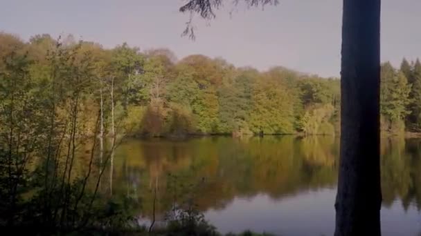 Ένα Δάσος Από Φύλλα Στην Άλλη Πλευρά Μιας Λίμνης Γυρίστηκε — Αρχείο Βίντεο