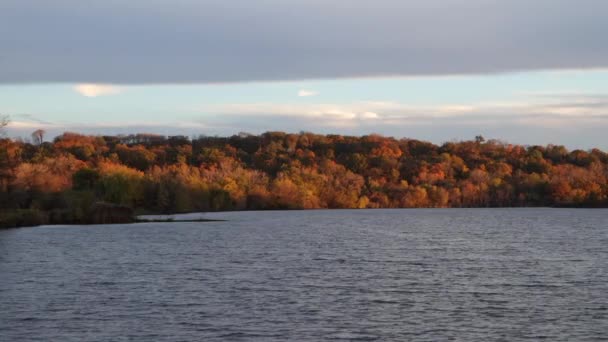 Malowniczy Widok Jezioro Jesienny Las — Wideo stockowe