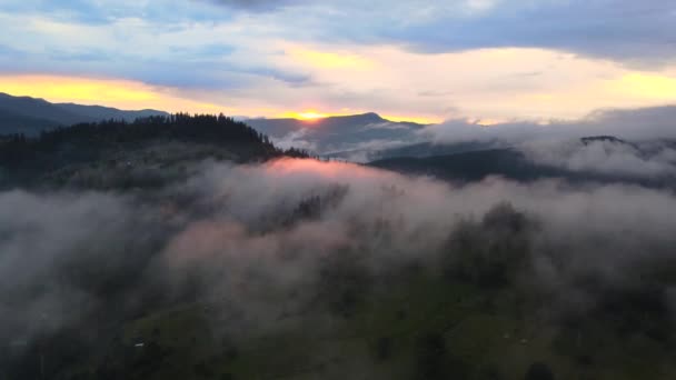 Mist Covering Surrounding Hilltops Early Morning Sunrise Wild Landscape — Video Stock