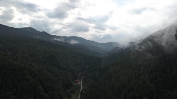 Volando Hacia Valle Cubierto Bosques Pinos Nubes Colgantes Bajas Con — Vídeo de stock