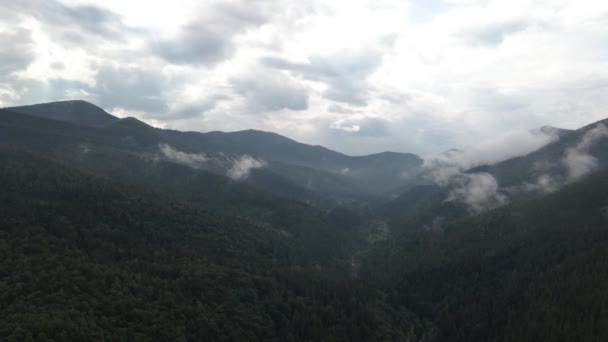 Volando Sobre Valle Cubierto Bosques Pinos Nubes Bajas Día Nublado — Vídeo de stock