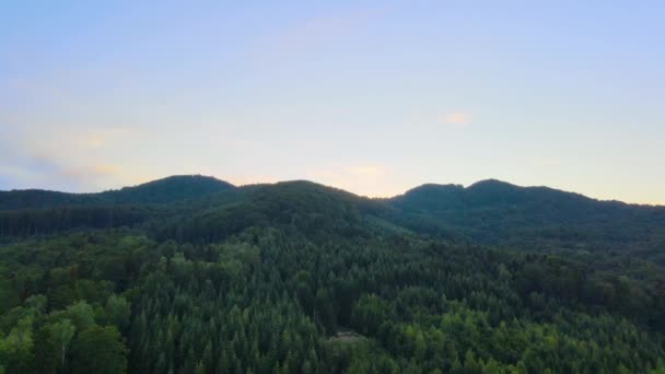 Vista Aérea Sobre Exuberante Bosque Verde Colinas Las Montañas Los — Vídeos de Stock