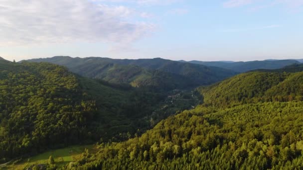 Veduta Aerea Sulla Foresta Sulle Colline Illuminate Dal Sole Verso — Video Stock