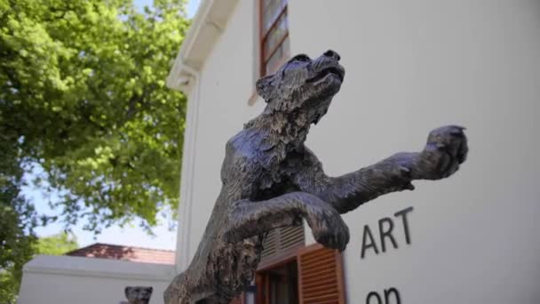 Duże Rzeźby Geparda Lamparta Przed Galerią Sztuki Drzewa Tle Stellenbosch — Wideo stockowe