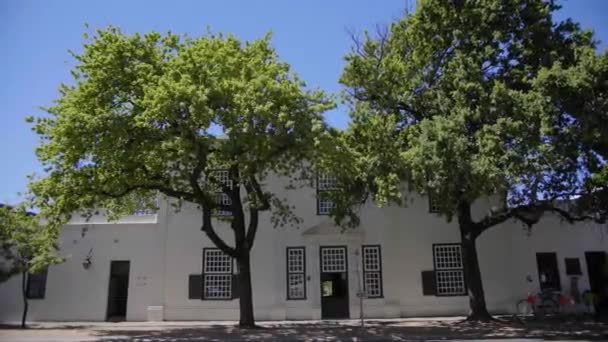 Tradiční Bílá Budova Cape Dutch Před Listnaté Duby Auta Projíždějící — Stock video