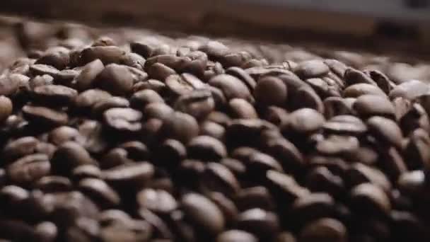 Primo Piano Chicchi Caffè Essere Trasformato Arrosto — Video Stock