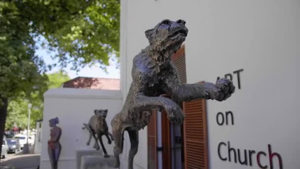 大型猎豹动物雕塑雕塑在美术馆前面 树木在背景 低角度 Stellenbosch — 图库视频影像