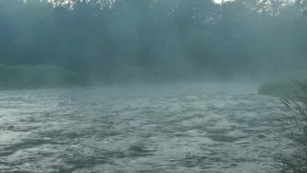 放松流动的河水与蒸汽上升穿过林木线 静态的 — 图库视频影像