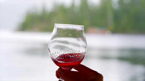 Ένα Ποτήρι Κρασί Στροβιλίζεται Στον Ουρανό Αργή Κίνηση — Αρχείο Βίντεο