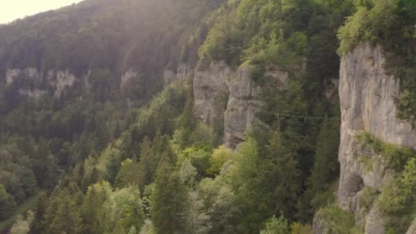 Zeigt Den Klettersteig Leitern Des Todes Frankreich Aus Der Drohnenperspektive — Stockvideo