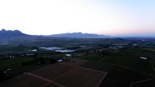 Dron Powietrzny Wschód Słońca Nad Ziemią Rolniczą Zbliżenie Brązowych Winnic — Wideo stockowe