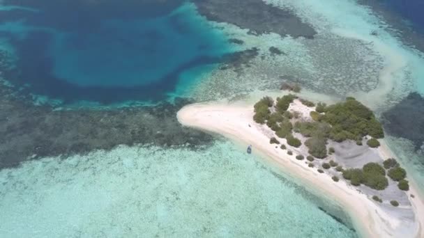 Luftaufnahme Einer Idyllischen Tropischen Insellandschaft Mit Türkisfarbenem Und Sauberem Wasser — Stockvideo