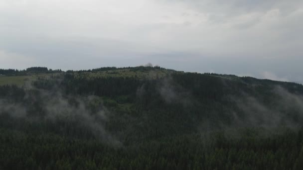 Erguendo Acima Floresta Coberta Por Camadas Nevoeiro Voando Direção Aos — Vídeo de Stock