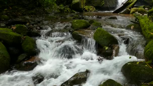 Wild Mountain River Zavřít Dostatečně Jasný Potok Detail Stone Rocks — Stock video