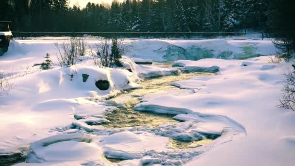 金色の太陽の光で輝く狭いストリームの水を流れることによってカット雪に覆われた風景 冬のカナダの風景の上に新鮮な雪の小川カット毛布のスローモーションビュー — ストック動画