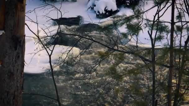 Winterlandschaft Durch Äste Mit Schnee Und Eis Wald Entlang Von — Stockvideo