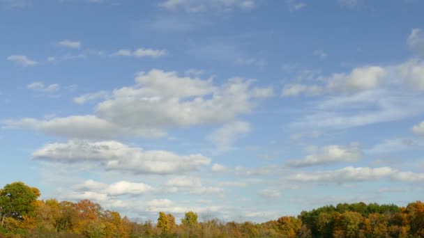 Wolken Ziehen Vorbei Über Einem Herbstlich Gefärbten Wald Kanada — Stockvideo