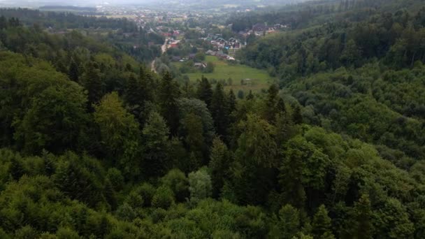 Veduta Aerea Drone Basso Sopra Foresta Montagna Verso Villaggio Coperto — Video Stock
