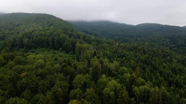 在乌克兰喀尔巴阡山脉 空中俯瞰高山和森林 背景上浓雾弥漫 无人驾驶飞机射击 — 图库视频影像
