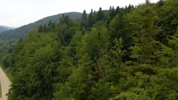 Luftaufnahme Tief Über Bergwald Bewölkter Tag Der Ukraine Steigender Drohnenschuss — Stockvideo