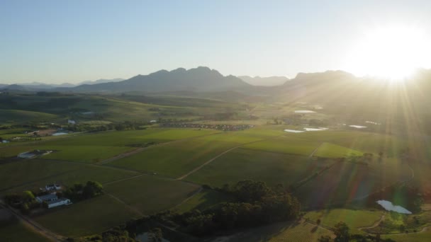 Letecká Krajina Teplé Sluneční Paprsky Vinice Stellenbosch — Stock video