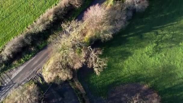 Воздушный Сверху Вниз Выстрел Серый Автомобиль Едет Английской Проселочной Дороге — стоковое видео